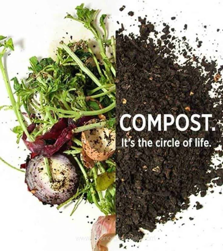 humus vs compost whats the difference and which is better .jpg